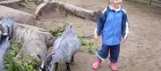 08-11 Familiedag i Zoo