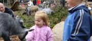 08-11 Familiedag i Zoo