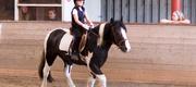 06-05 Rideopvisning i Helsinge