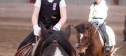 06-05 Rideopvisning i Helsinge