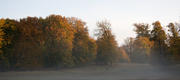 10-17 Dyrehaven