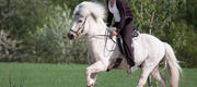 05-02 Lettir i naturen