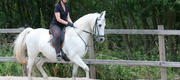 07-15 Ane & Zhegal's rideopvisning