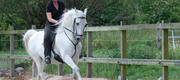 07-15 Ane & Zhegal's rideopvisning