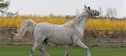 04-28 Zhegal alene i verden