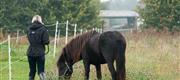 09-26 Fengur slippes ud