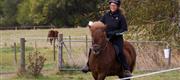 10-15 Hyggedag på Rosenlund