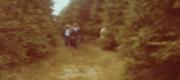 1981-07 Harzen